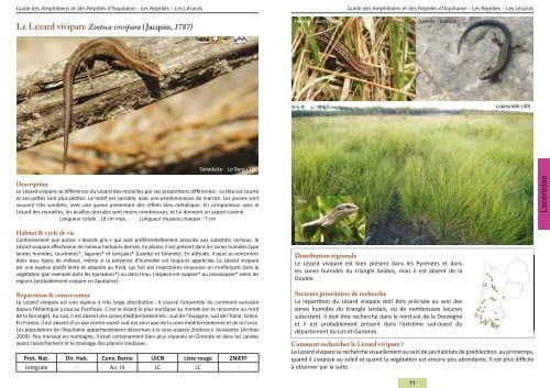 Guide des Amphibiens et Reptiles d'Aquitaine - Conseil Régional d ...