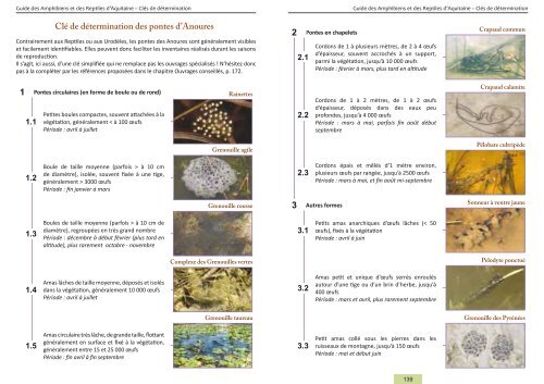 Guide des Amphibiens et Reptiles d'Aquitaine - Conseil Régional d ...