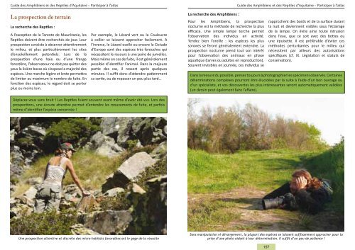 Guide des Amphibiens et Reptiles d'Aquitaine - Conseil Régional d ...