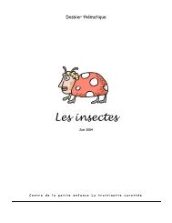 Les insectes - La trottinette carottée