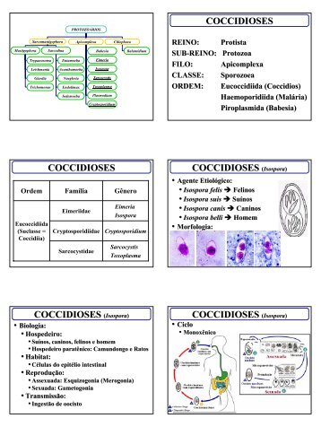 COCCIDIOSES COCCIDIOSES COCCIDIOSES (Isospora ...