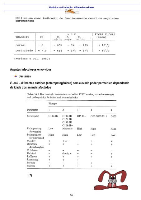 Medicina da Produção – Módulo Leporídeos - Veterinaria