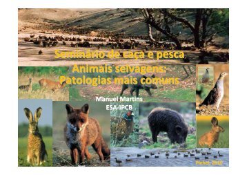 Seminário de Caça e Pesca- Pinhel-15-6-10.pdf