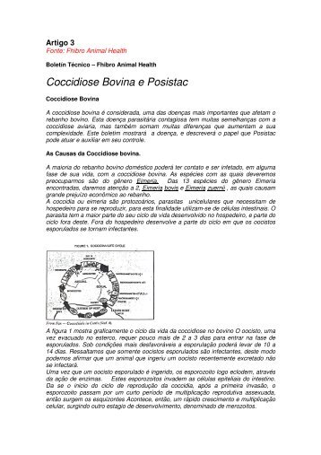 Coccidiose Bovina e Posistac - Nutrideal