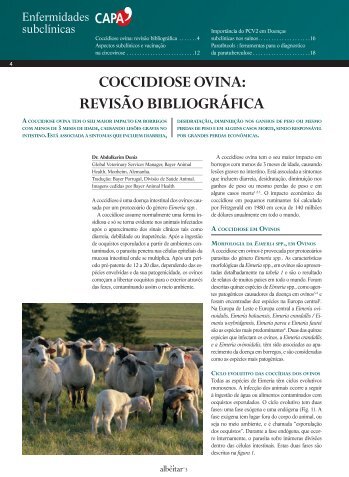 Coccidiose Ovina