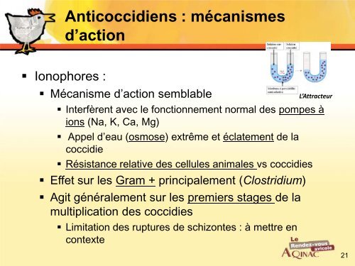 Anticoccidiens : chimiques - AQINAC