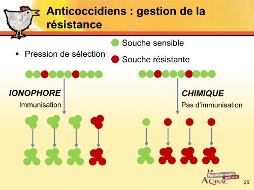 Anticoccidiens : chimiques - AQINAC