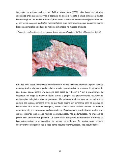 Coccidiose em Pequenos Ruminantes - UTL Repository ...