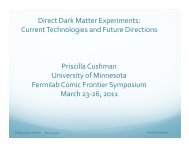 Priscilla Cushman - Fermilab Center for Particle Astrophysics