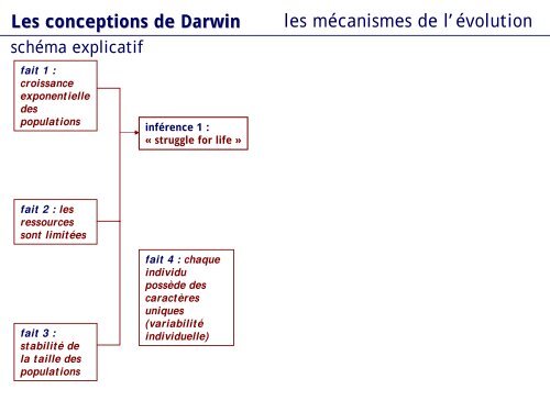 au format pdf - e-fisio