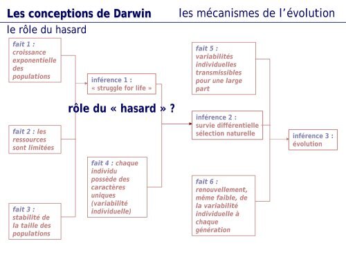 au format pdf - e-fisio