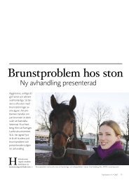 Brunstproblem hos ston - ASVT