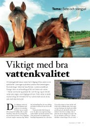 Viktigt med bra vattenkvalitet - ASVT