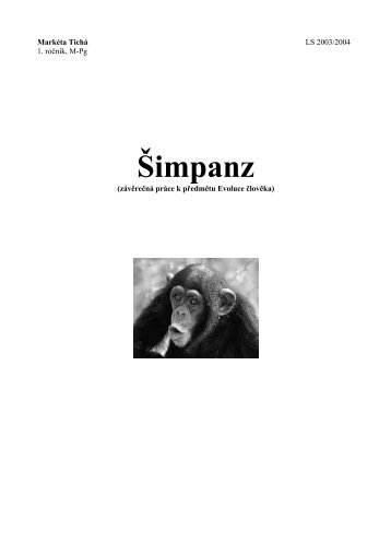 Šimpanz - Atrey
