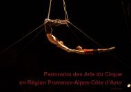 Panorama des arts du cirque en Provence-Alpes ... - Arcade PACA