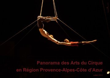 Panorama des arts du cirque en Provence-Alpes ... - Arcade PACA