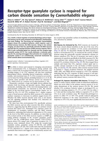 Receptor-type guanylate cyclase is required for carbon dioxide ...