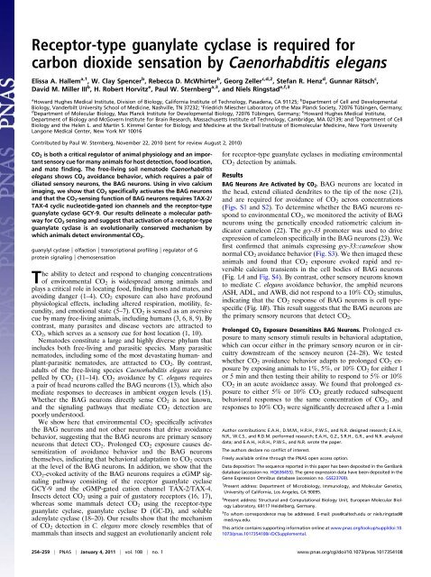 Receptor-type guanylate cyclase is required for carbon dioxide ...