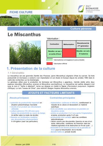 RMT MISCANTHUS [Mode de compatibilité] - Chambre d'Agriculture ...