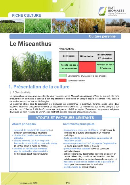 RMT MISCANTHUS [Mode de compatibilité] - Chambre d'Agriculture ...