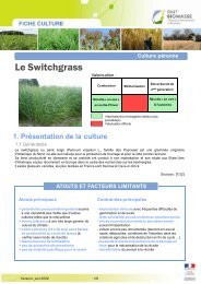 Le Switchgrass - Chambres d'agriculture - Picardie