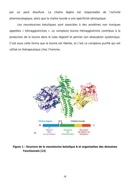 Graphique 1 - Faculté de Médecine et de Pharmacie de Fès