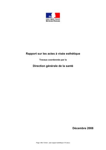 Rapport DGS.pdf - Esthetic Planet