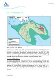 Site 1 : Grand Lagon Sud - Province sud