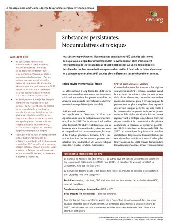 Substances Persistantes, Biocumulatives et Toxiques