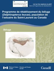 Programme de rétablissement du béluga - BAPE - Gouvernement ...