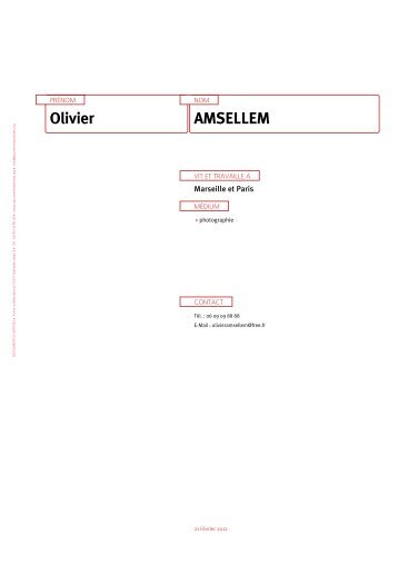 Olivier AMSELLEM - Documents d'artistes