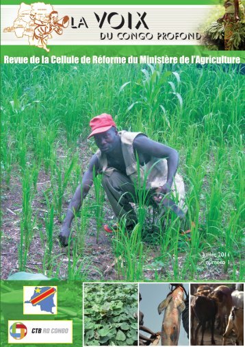 la Voix du Congo Profond - agriculture-rdc.net