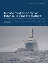 Baleine menacée d'extinction: la bataille s'intensifie - Aline Jaccottet ...