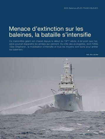 Baleine menacée d'extinction: la bataille s'intensifie - Aline Jaccottet ...