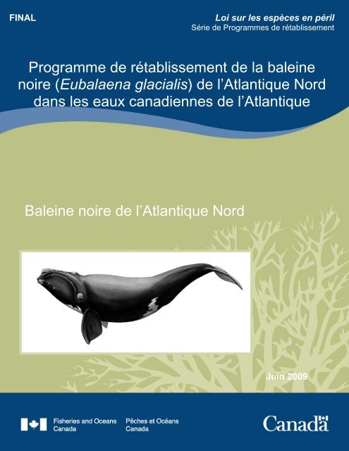 Programme de rétablissement de la baleine noire - Réseau d ...