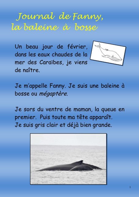 Histoire de Fanny la baleine - Mon école, ma baleine