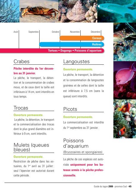 [179] Guide du lagon et des marées en - 2Da