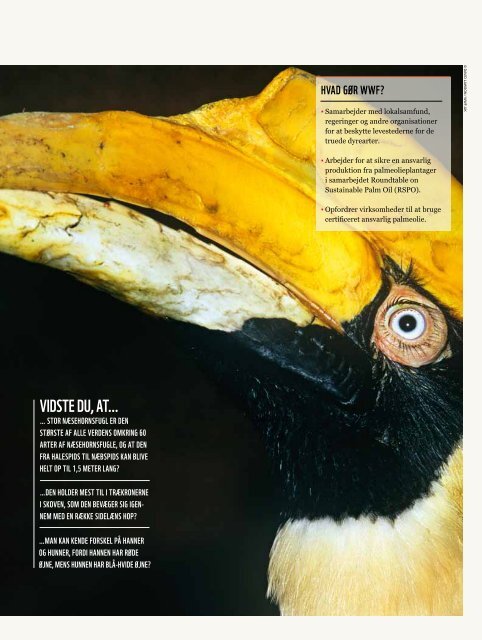 Levende Natur: Oktober 2011 - WWF