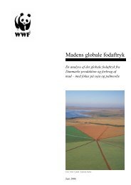 Madens globale fodaftryk - WWF