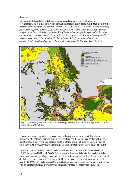 Beskyttelse af havnaturen i indre danske farvande - status og ... - WWF