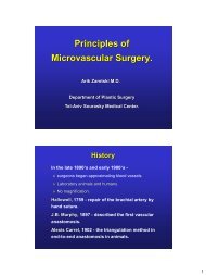 Principles of Microvascular Surgery.