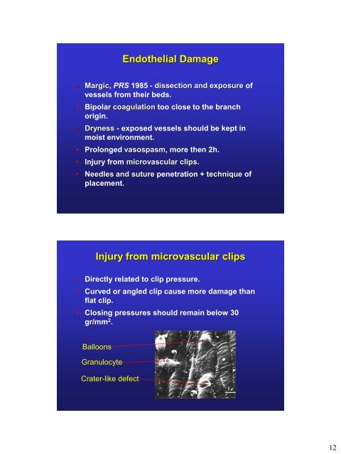 Principles of Microvascular Surgery.