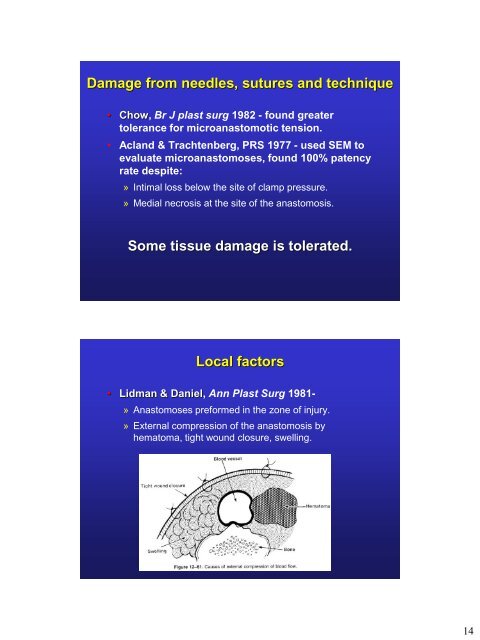 Principles of Microvascular Surgery.