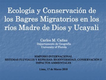 Ecología y Conservación de los Bagres Migratorios en los ríos ...