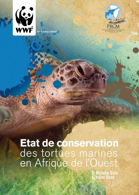 des tortues marines en Afrique de l'Ouest - WWF