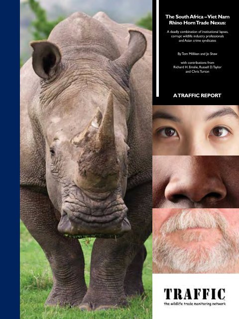 The South – Viet Nam Rhino Trade Nexus (PDF - WWF
