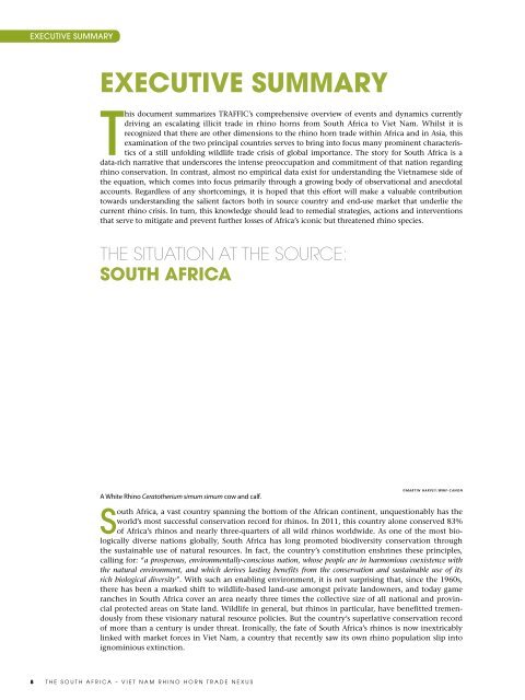 The South Africa – Viet Nam Rhino Horn Trade Nexus (PDF ... - WWF