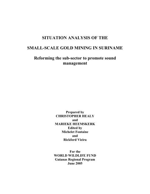 SITUATION ANALYSIS OF THE SMALL-SCALE GOLD ... - WWF