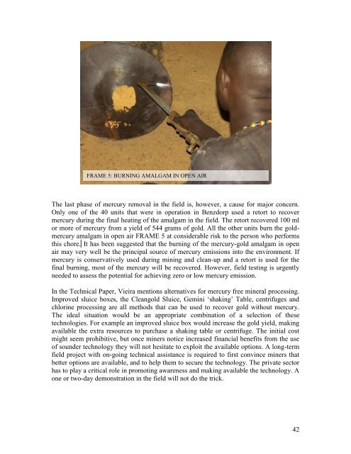 SITUATION ANALYSIS OF THE SMALL-SCALE GOLD ... - WWF