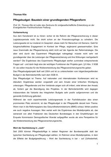 Pflegebudget- Baustein einer grundlegenden Pflegereform - BBE
